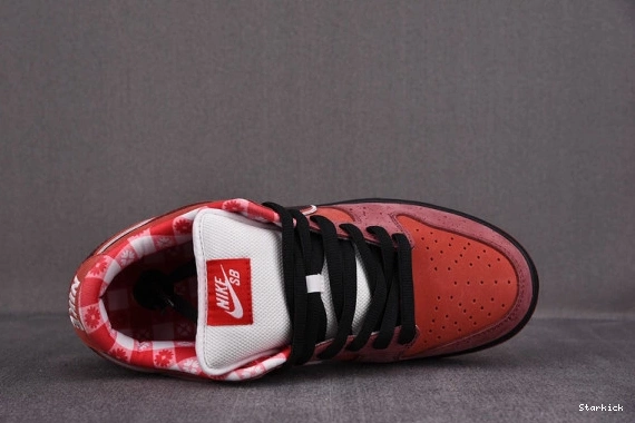 Low Nike Red SB Dunk 313170-661 Concepts Lobster 0211